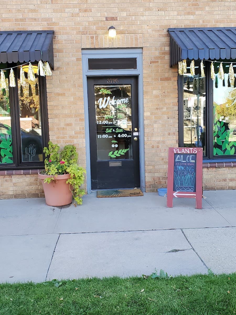 Tigerlily Goods • Denver Houseplants and Gift Shop