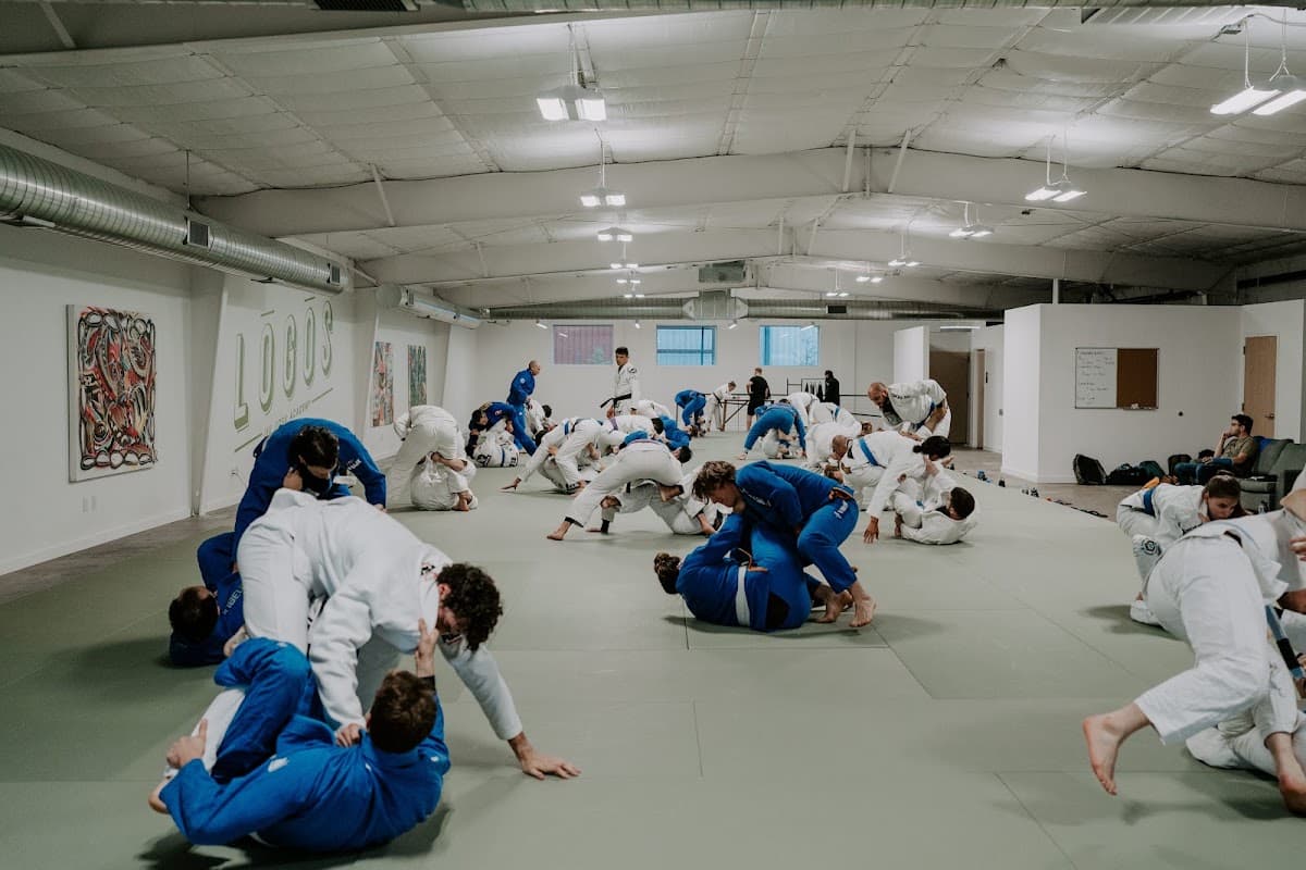 Lōgōs Jiu Jitsu