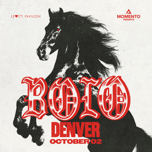Bolo