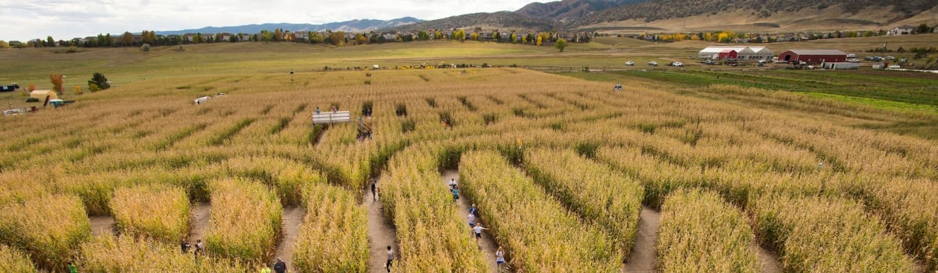 Pumpkin Festival at Chatfield Farms