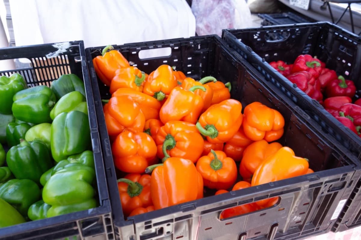 Southwest Plaza Farmers Market
