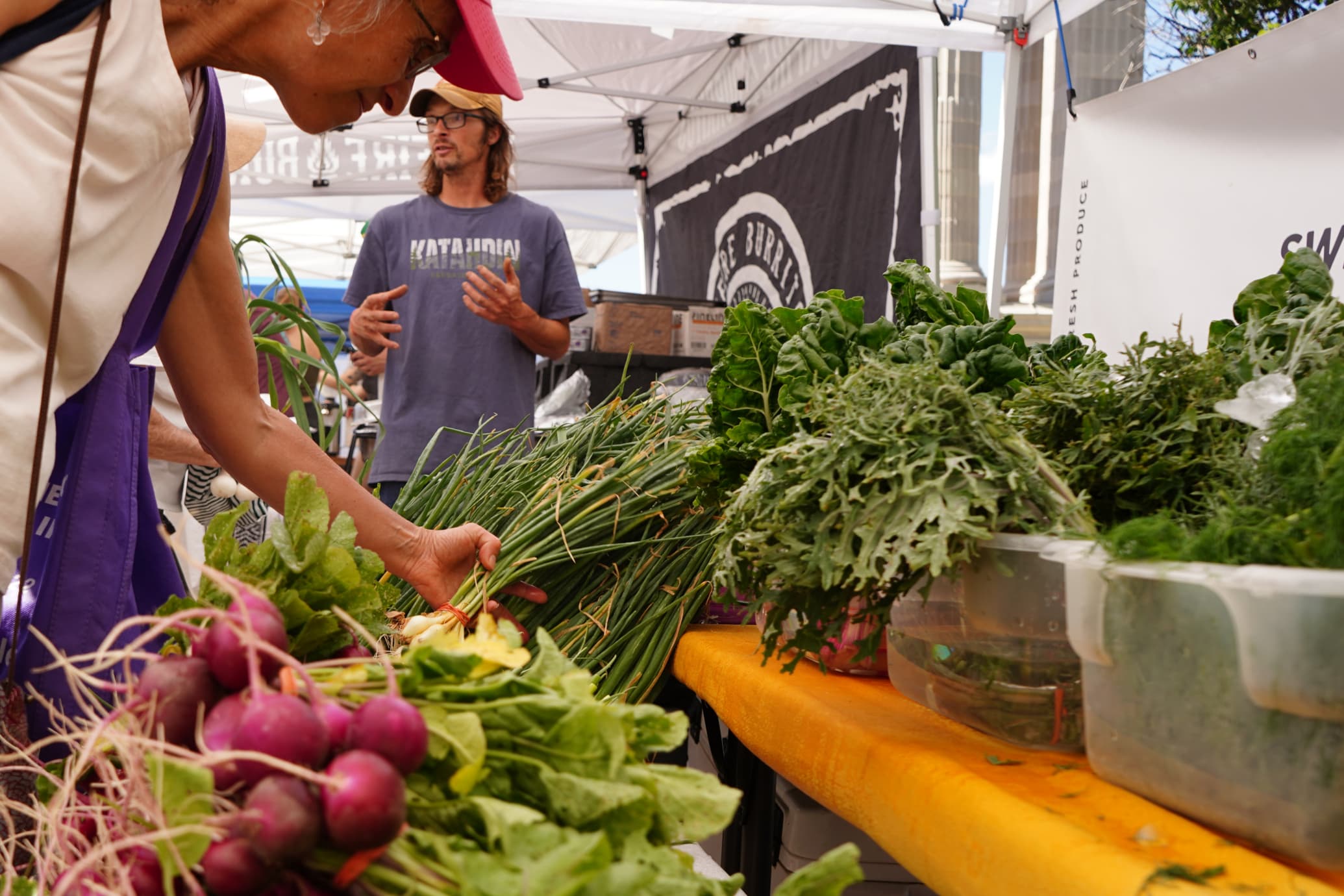 Downtown Lakewood Farmers Market (Belmar)