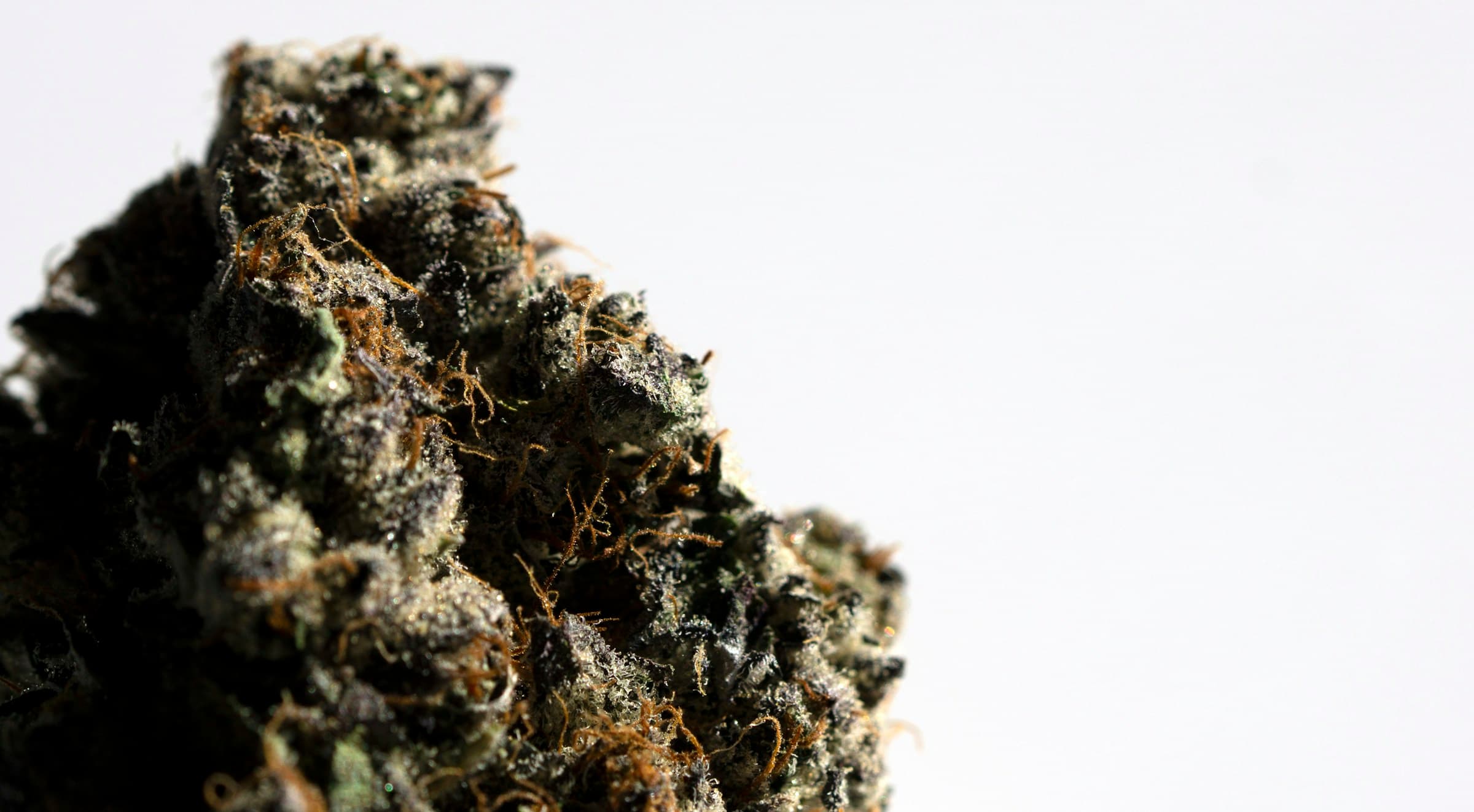 Denver Cannabis (2026): Where You Can Actually Consume It