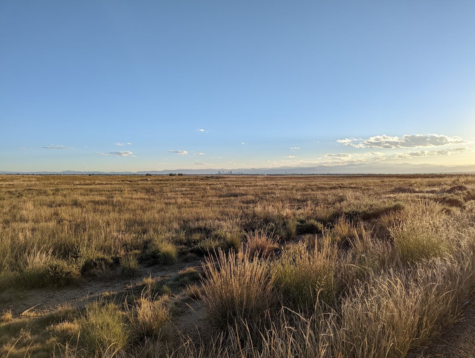 Best Easy Day Hikes Near Denver (2026)