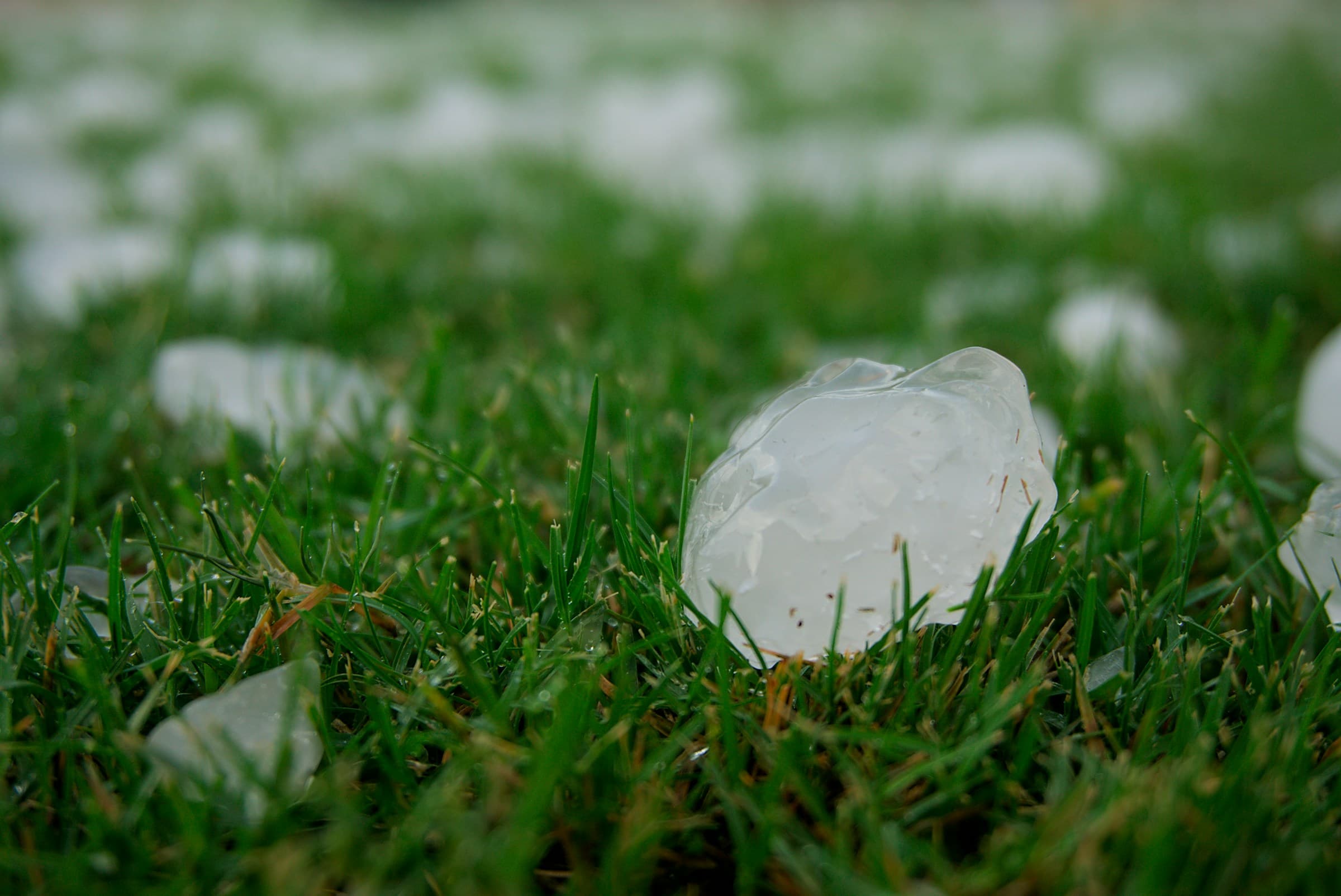Denver Hail and Your Car (2026): What to Do, and Who Not to Trust